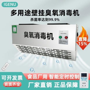 iGenu壁挂式臭氧发生器垃圾房除臭空气净化食品厂车间臭氧消毒机