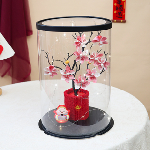 新年招财有钱花发财树高级感礼盒手工diy自制喜庆春节送亲朋好友