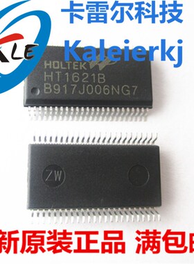 全新原装HT1621B HT1621 贴片SSOP-48 RAM映射 LCD驱动器 液晶芯