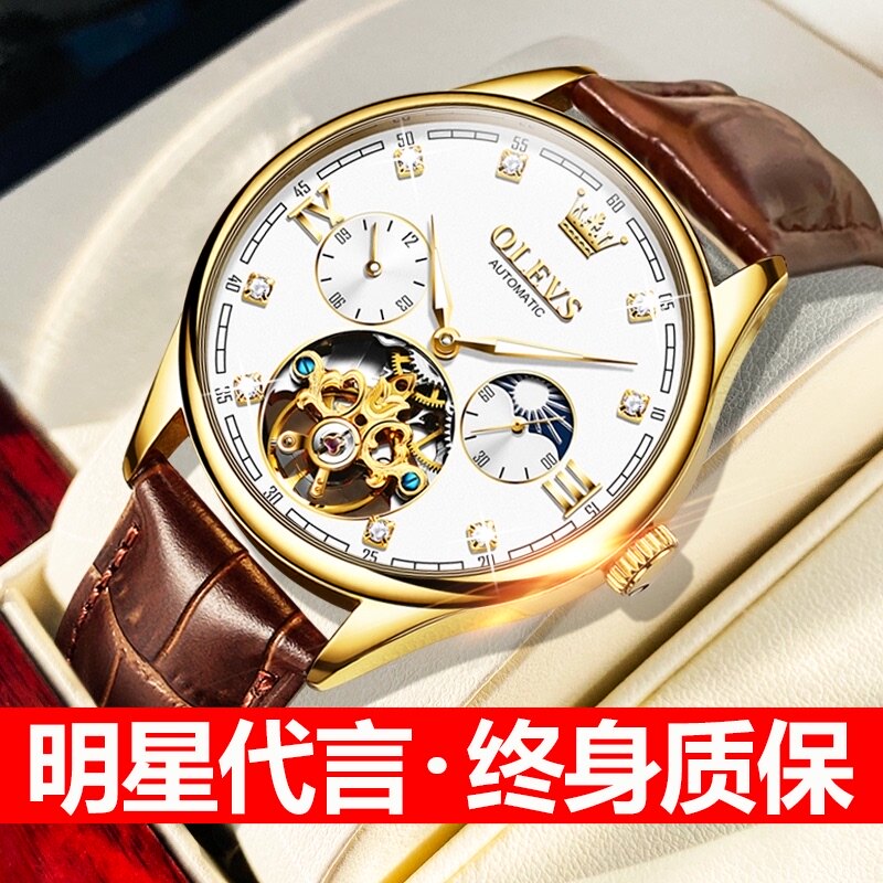 官方旗舰店正品瑞士欧利时手表男士机械表全自动真皮镂空品牌十大