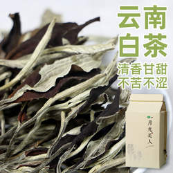 云南高山白茶白牡丹礼盒装景谷大白茶月光美人白茶月光白明前春茶
