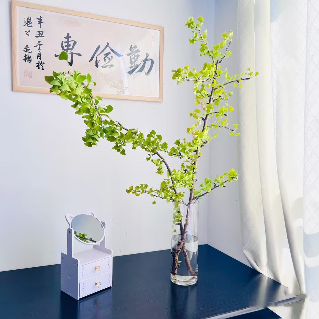 鲜切银杏叶水培鲜花室内桌面水养ins风极简吊钟马醉木平替