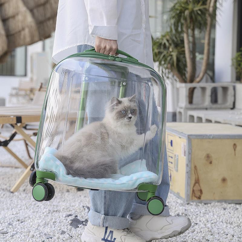 宠物拉杆箱两只外出手提大容量家用便携猫咪透气透明狗航空箱