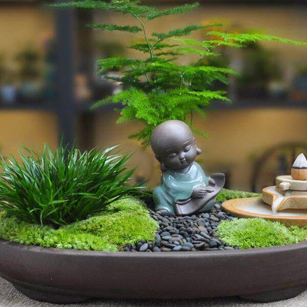 苔藓微景观植物虎须小盆栽文竹办公桌面摆件创意好养茶桌盆景含盆