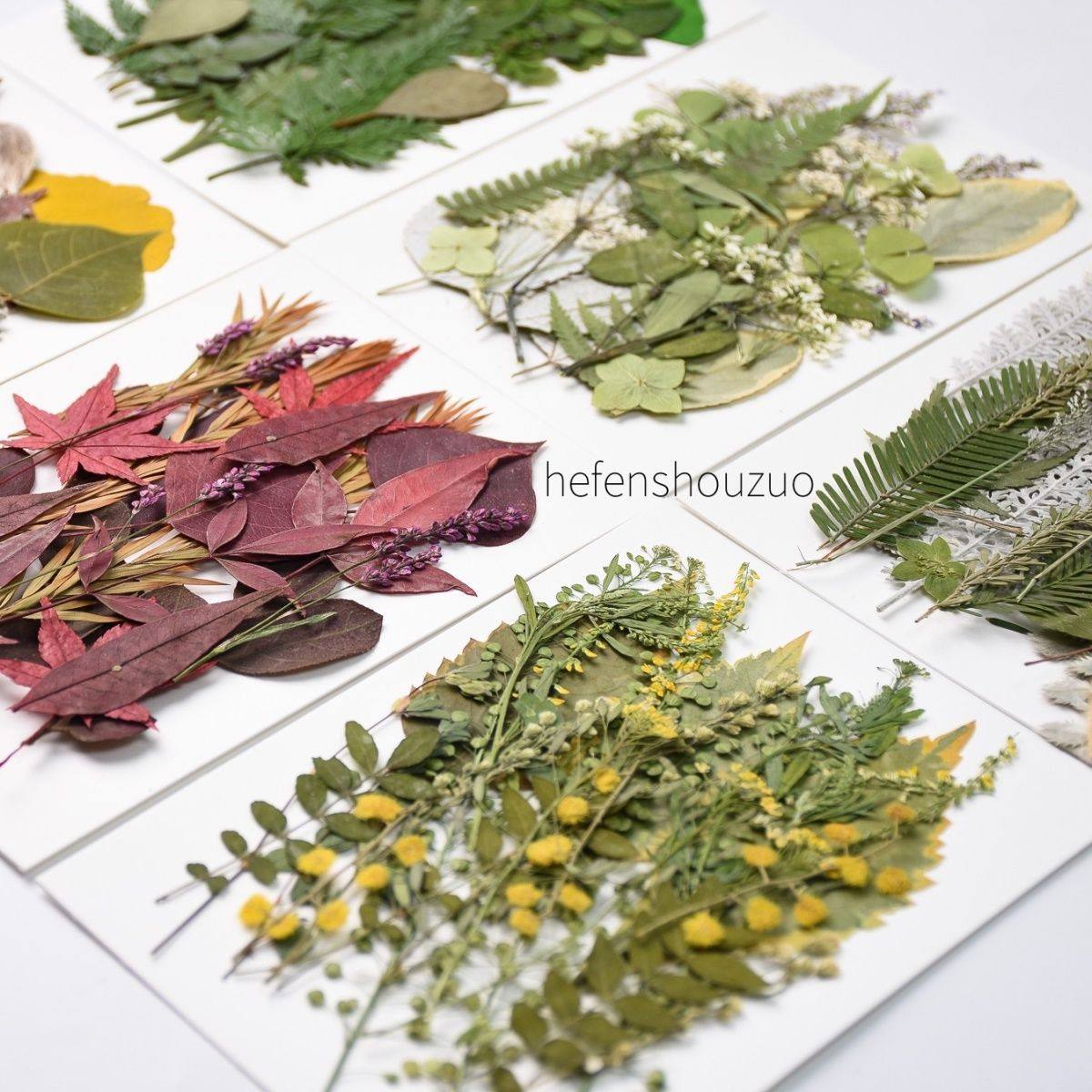 干花植物标本幼儿园手工材料贴画真树叶diy滴胶杯垫相框压花21片