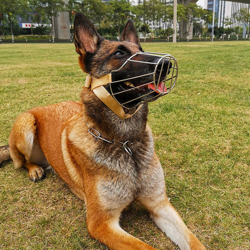 狗狗嘴套德牧马犬专用土狗口笼嘴罩拉布拉多哈士奇萨摩耶金毛口罩