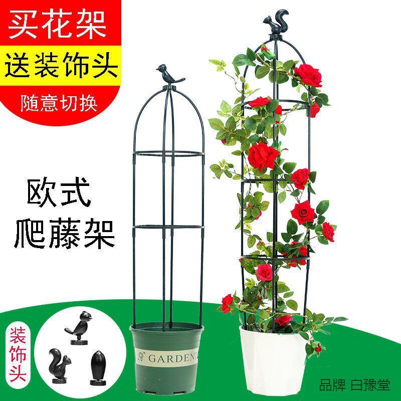 园艺藤本月季爬藤支撑架玫瑰盆栽花架 植物U型爬藤架支架支柱中等