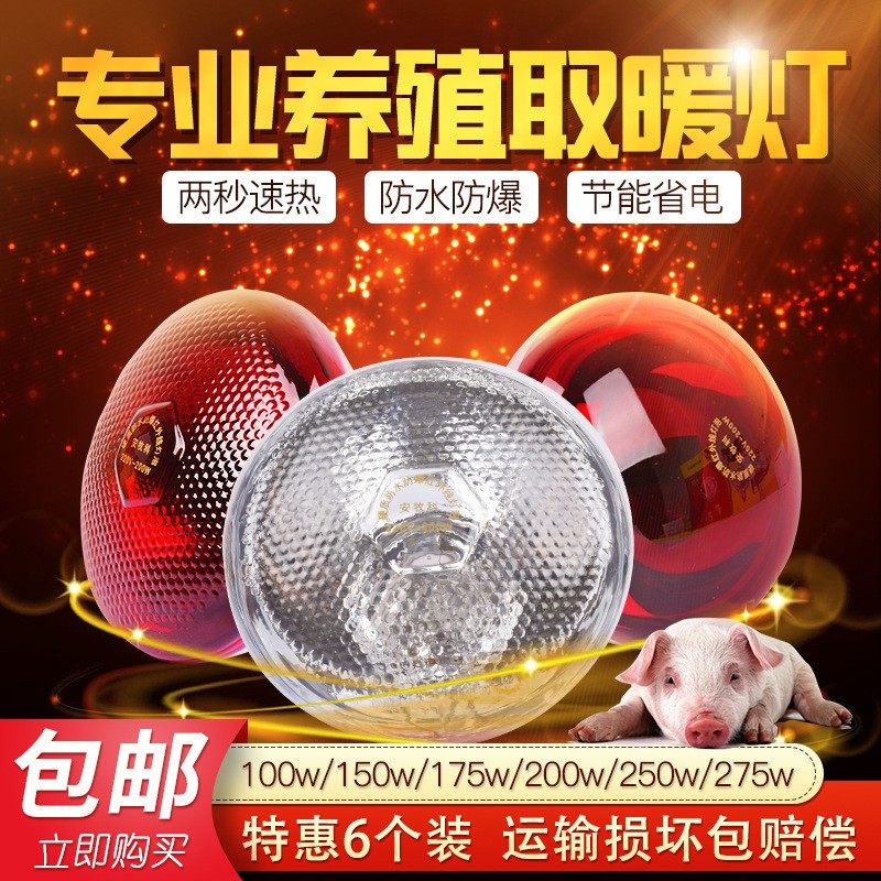 养殖场保温灯猪兽用烤灯红外线仔猪小鸡养殖取暖保暖加热灯泡