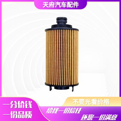 南骏机油滤芯江淮云内D19原厂