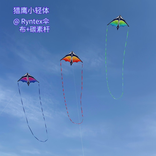 轻体风筝伞布碳杆猎鹰风筝
