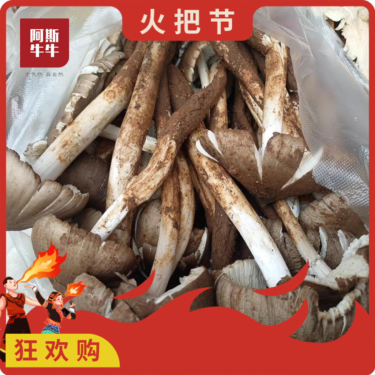鲜鸡枞菌开花鸡枞野生菌大凉山开伞食用菌菇
