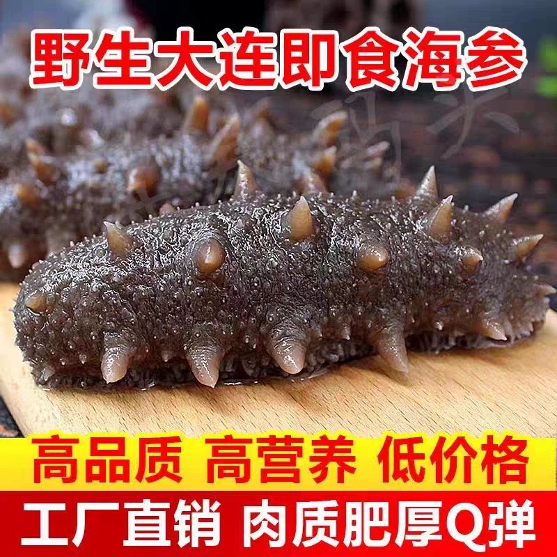 大连即食海参500g辽刺参鲜活干品/即食海参