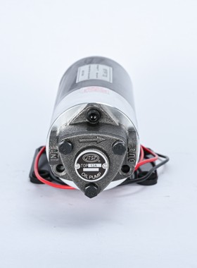 VNLP能力电动加油泵12V/24V/220V直流齿轮泵小型抽油泵三角泵电机