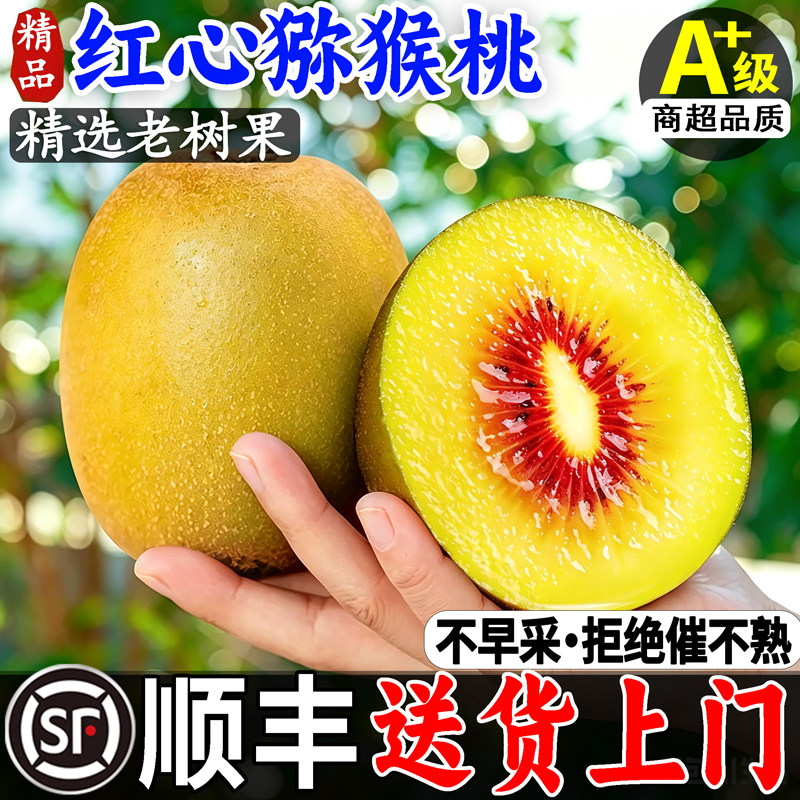 顺丰四川红心猕猴桃新鲜奇异果当季甜水果现摘蒲江弥猴桃彩色整箱图片