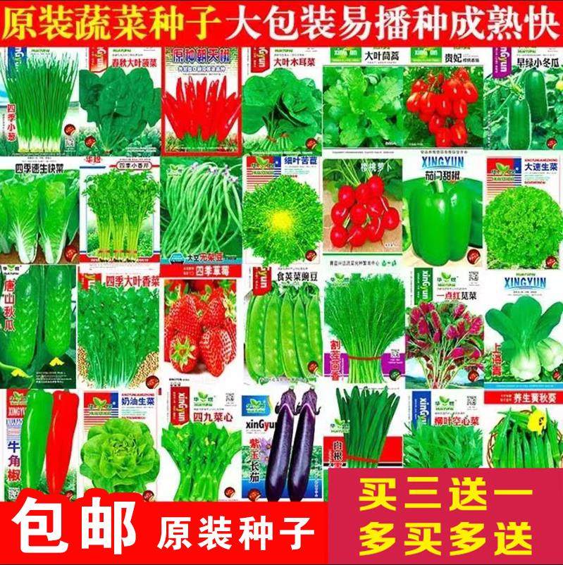 蔬菜种子四季播种阳台农家盆栽生菜香菜黄瓜草莓番茄辣椒籽孑大全,农用物资,育苗/栽培基质,淘宝优惠券,粉丝福利购,淘宝优惠卷