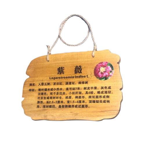 ZQ植树节树木挂牌花木介绍牌植物品名吊牌幼儿园认养防腐标识牌