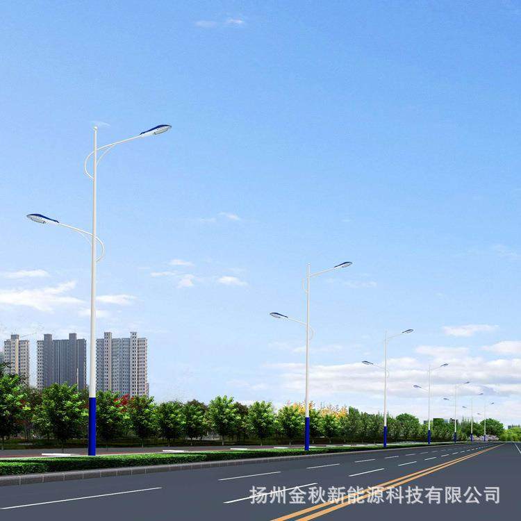 10米双臂路灯热镀锌6米8米12米路灯杆公路100wled市电路灯