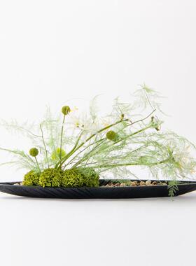 新中式日式侘寂碳化木船永生苔藓盆景绿植盆栽玄关餐桌会议桌摆件