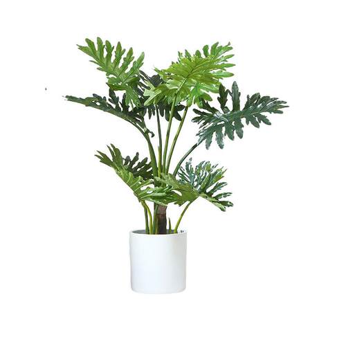 北欧ins仿真春雨盆栽室内植物家居装饰摄影道具仿真植物盆栽
