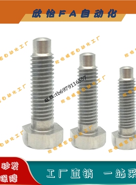 PBE22细牙定位螺栓螺纹前端R型STCAM4/5/6/8/10/12-20/25/30/80