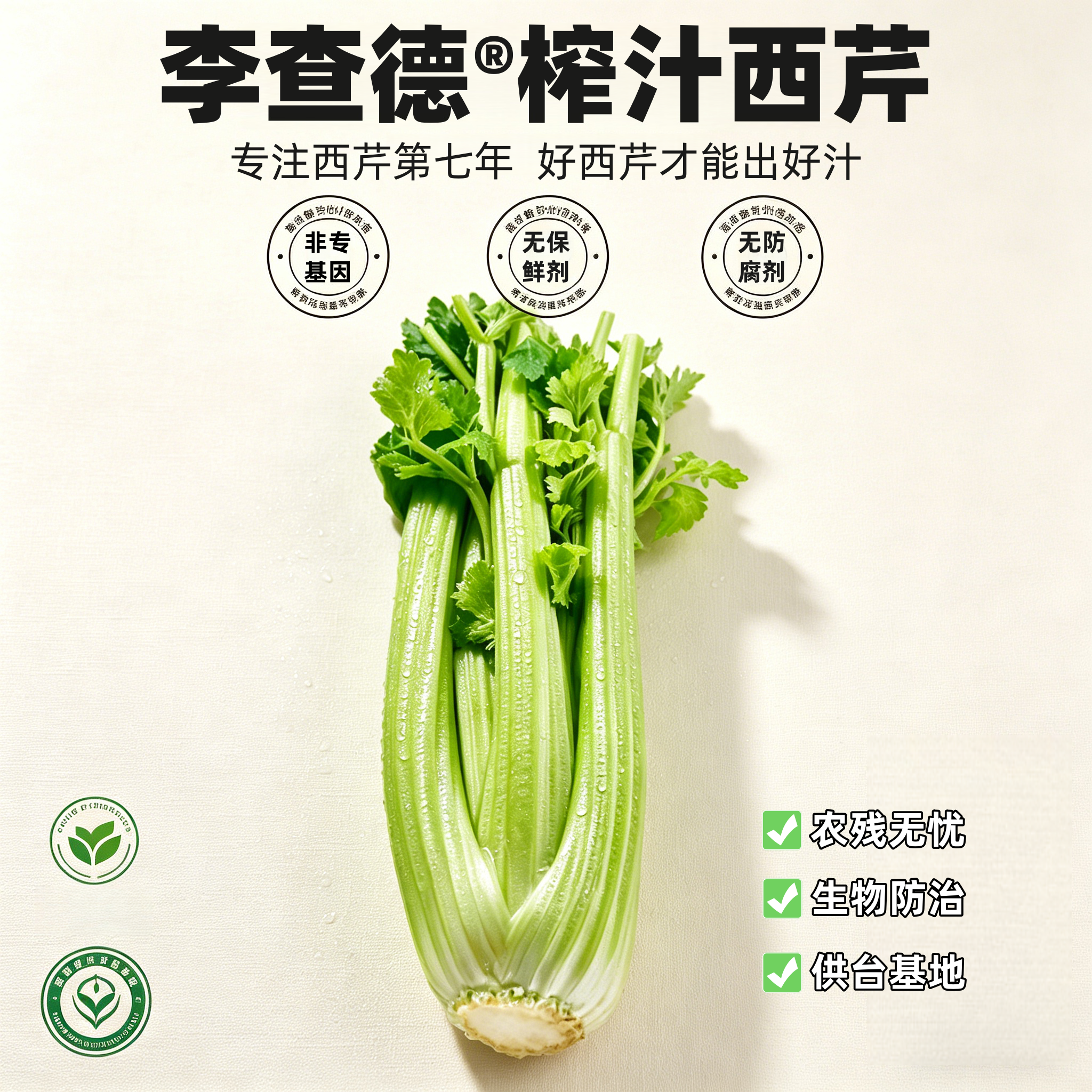 【顺丰】李查德&reg;西芹芹菜榨汁青菜当季新鲜脆嫩蔬菜凉拌轻食现采