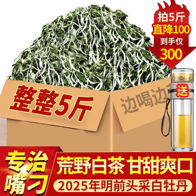 2025年福建高山白茶特级头采白牡丹明前鲜嫩茶叶荒野散茶5斤整箱