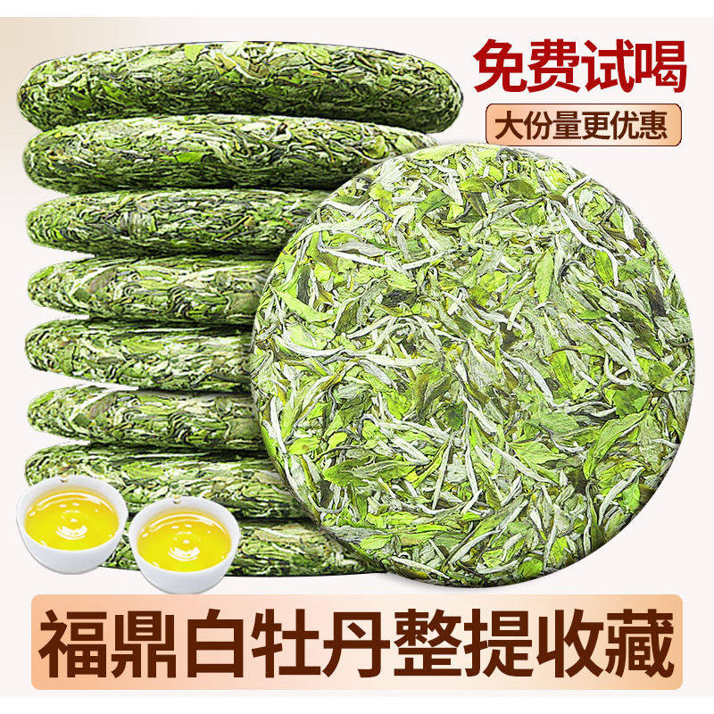 2026年福鼎白牡丹高山大白茶花香荒野老树明前太姥山脉茶饼7饼