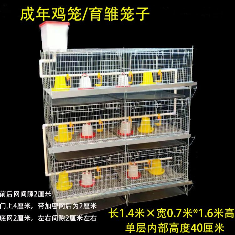 特大号公鸡笼鸽子笼育雏笼雏鸡小鸡笼三层鸡笼养殖笼多层养鸡笼