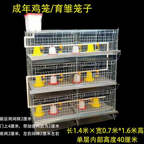 特大号公鸡笼鸽子笼育雏笼雏鸡小鸡笼三层鸡笼养殖笼多层养鸡笼