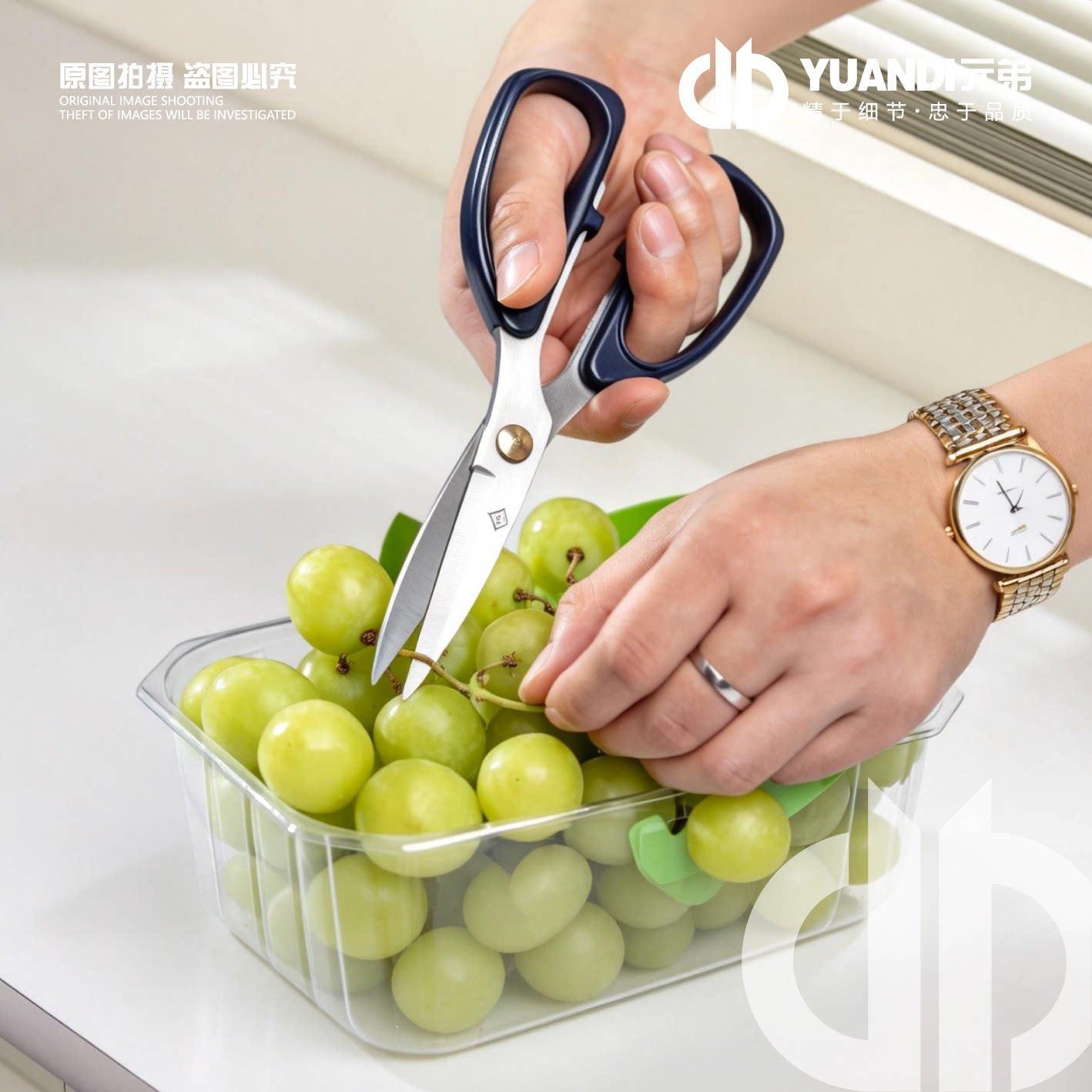 爱天元&middot;不锈钢葡萄剪刀柑橘园林摘果剪蔬果厨房家用专用强力剪刀