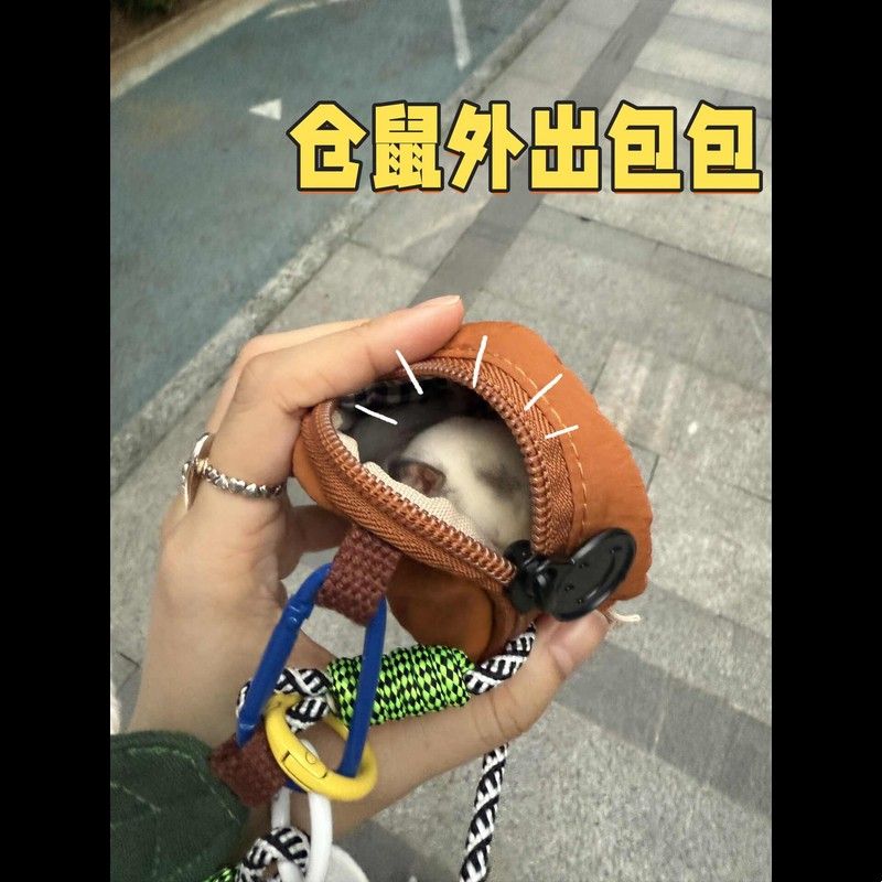 仓鼠外出便携包金丝熊仓鼠外带笼花枝鼠蜜袋鼯外出包宠物玩具便携