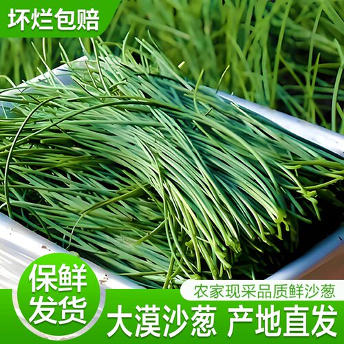 【中通冷链】沙葱新鲜民勤特产泡沫箱冰袋1/5斤新鲜蔬菜包邮