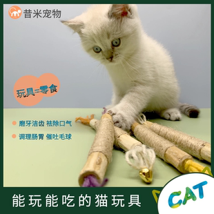 木天蓼磨牙棒猫玩具球烟猫咪薄荷棒逗猫棒盆栽解闷自嗨洁齿幼猫粉