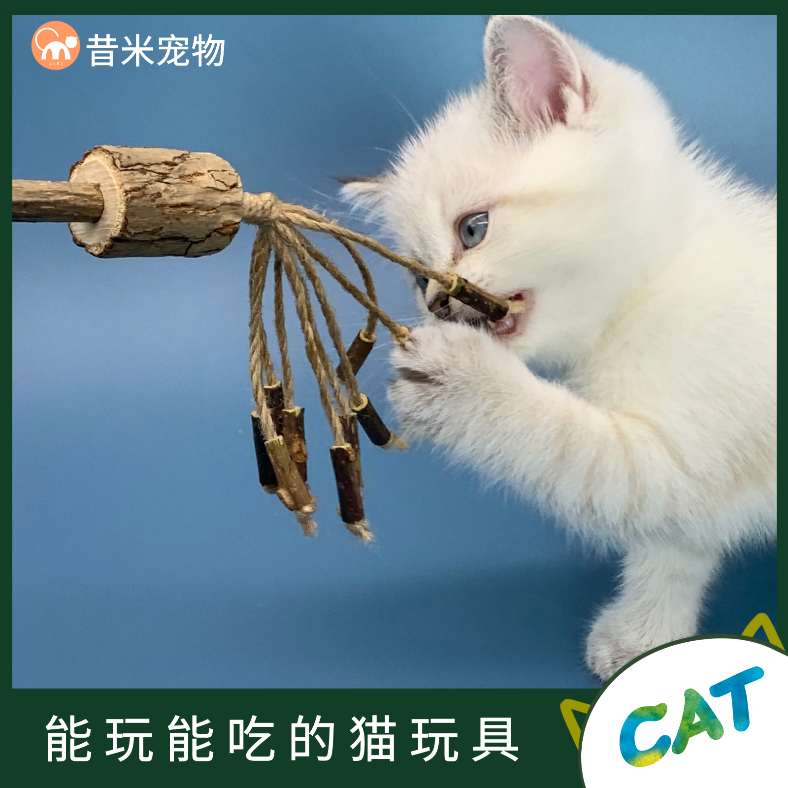 磨牙棒木天蓼磨牙棒猫宠物木天蓼