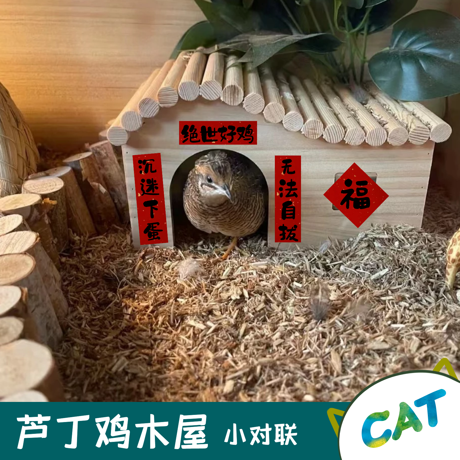 鸡窝春联芦丁鸡木屋小房子对联定制迷你小尺寸开关鹦鹉对联2023