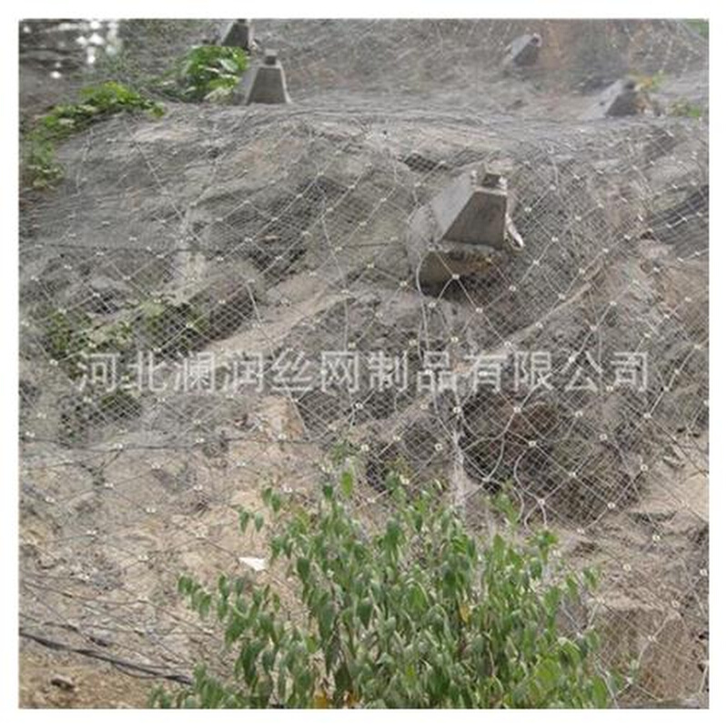 生产 山体拦石网Z 落石防护网 钢丝绳网