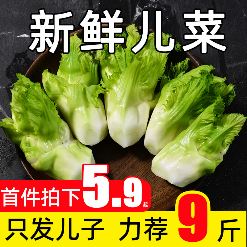 四川儿菜新鲜全儿子娃娃菜耳菜农家自种9斤泡菜咸菜当季蔬菜包邮