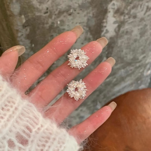 春夏小清新花朵耳钉925银针小众甜美耳环轻奢高级感气质时尚耳饰