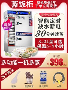 翼飞阳蒸饭柜商用电蒸箱蒸包炉燃气蒸饭车家用小型全自动食堂蒸箱