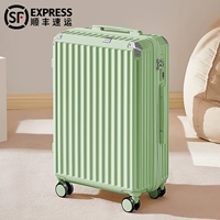 Авокадо зеленый/царапина модель молнии