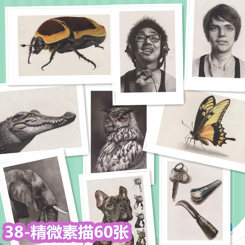 38-少儿创意美术临摹卡片-精微素描60张系列美术素材