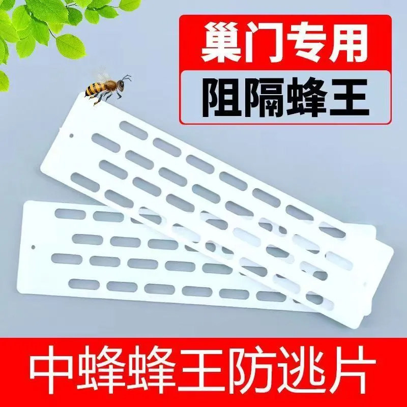 中蜂防跑片隔王片多功能蜂王防逃片蜂箱巢门专用养蜜蜂工具防盗蜂
