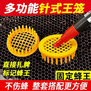 多功能针式王笼养蜂巢础塑料标记蜂王固定蜂王不伤蜂整套搭配