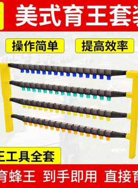 美式育王套装上手即用