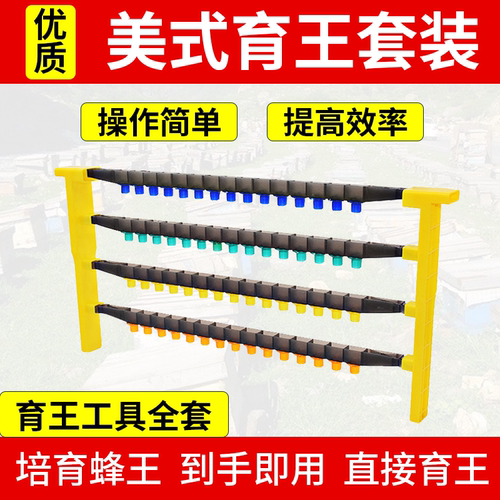 美式育王套装上手即用