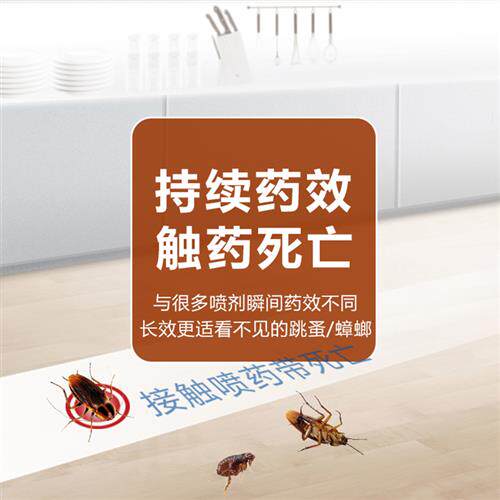 德国巴斯夫速克力家用蟑螂药跳蚤药一窝全窝端跳蚤蟑螂非无毒神器