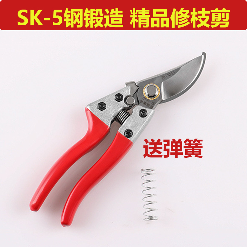 剪枝果树修枝剪刀修花粗枝园林家用大力剪子花剪果树修剪树枝园艺