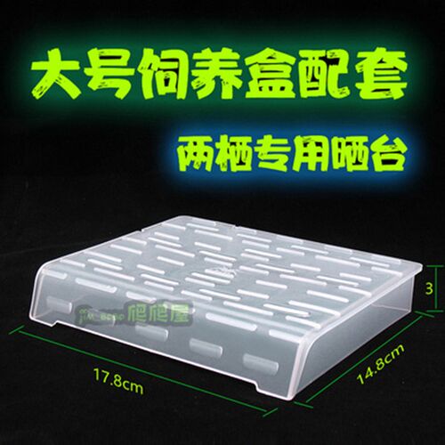 角蛙饲养箱干湿分离饲养盒乌龟螃蟹角蛙两栖宠物晒台爬台水陆造景
