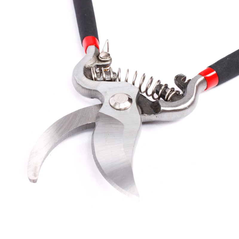 园林剪刀8寸10寸树枝剪篱笆剪园艺剪园林修枝剪花园工具园艺工具