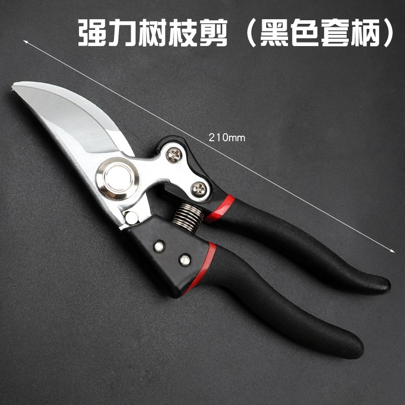 剪枝剪刀园艺剪树枝果树果枝修枝剪花剪园林花艺剪刀省力粗枝剪子